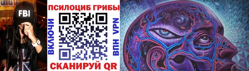 Псилоцибиновые грибы Cubensis  Урень 