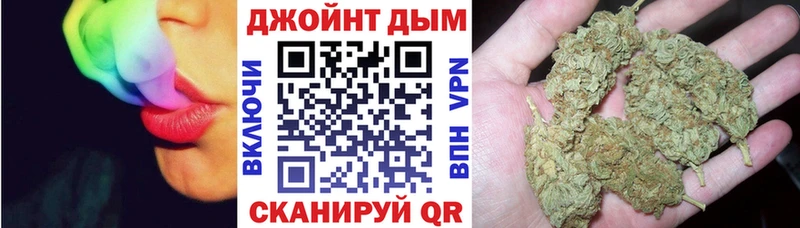 как найти   Урень  Бошки Шишки сатива 